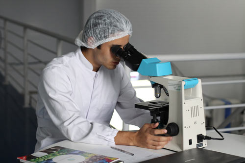 Naukowiec bada próbkę materiału biologicznego pod mikroskopem